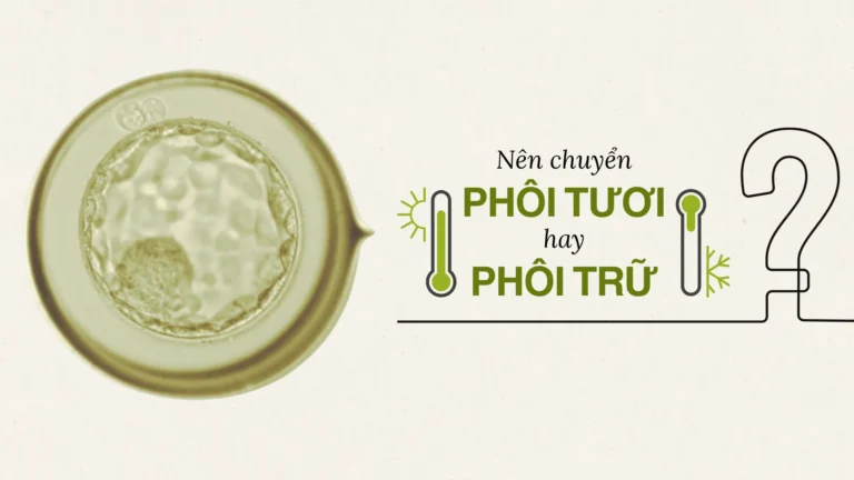 Read more about the article SHOULD WE TRANSFER FRESH EMBRYO OR ARCHIVED EMBRYO?